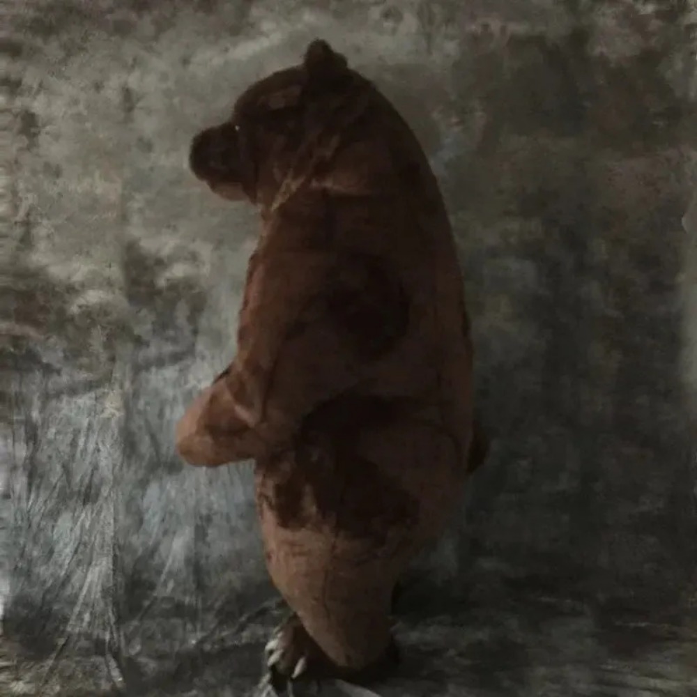 Inflatable Brown Bear Mascot C - Halloween Costume Adult recension och pris